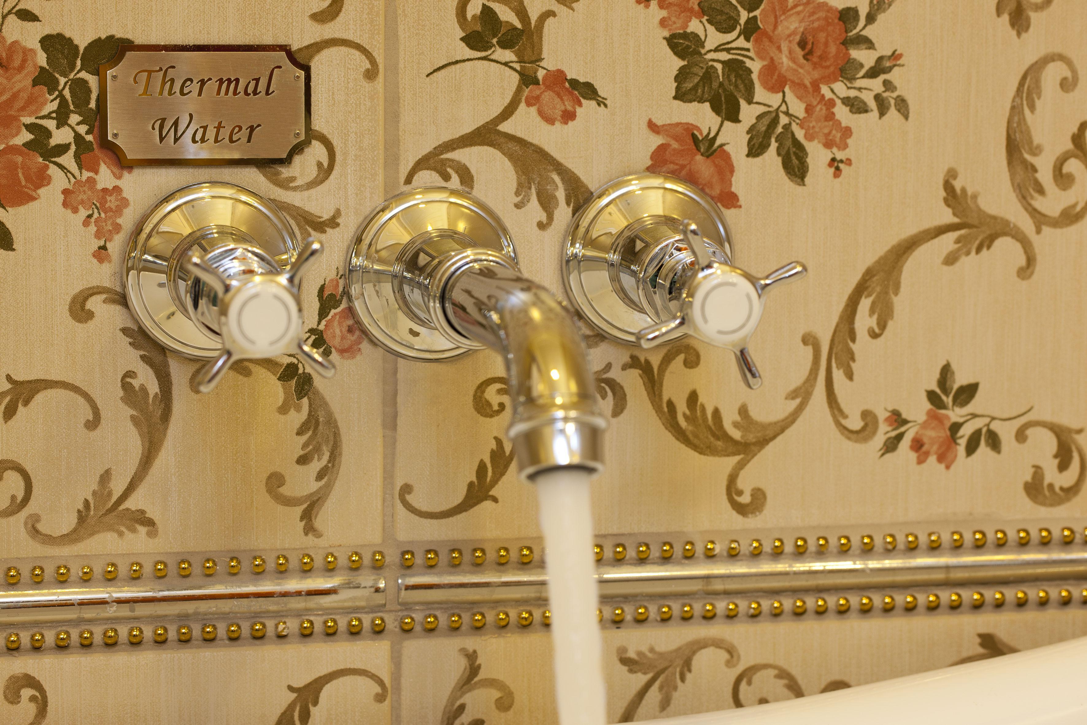 Limak Yalova Thermal Boutique Hotel Gokcedere Exterior foto